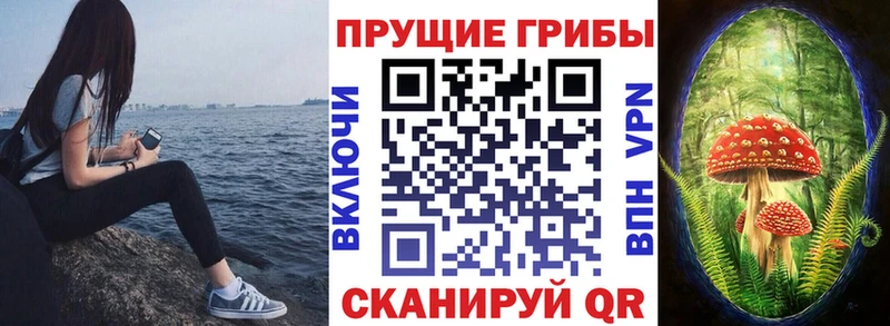 где продают   Азнакаево  Галлюциногенные грибы прущие грибы 